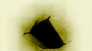 alt=”Marco Monfardini video"