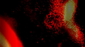 alt=”Marco Monfardini Murcof video"