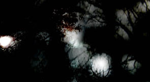 alt=”Marco Monfardini Murcof video"