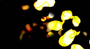 alt=”Marco Monfardini Murcof video"