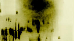 alt=”Marco Monfardini video"
