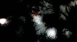 alt=”Marco Monfardini Murcof video"
